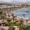   Helnan Marina Sharm 4*  (  )