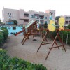 .  Rehana Sharm Resort 4*  (  )