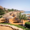   Albatros Royal Grand Sharm 5*  (  )