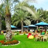   Bin Majid Beach Hotel 4*  (   )