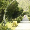   Garden Resort Bergamot 4* 