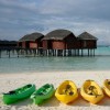   Anantara Dhigu Maldives 5*  (  )