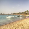   Continental Hotel Hurghada 5*  (  )