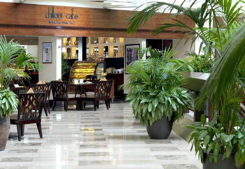 Кафе отеля Radisson Blu Resort Sharjah 5*  (Radisson Blu Resort Sharjah)
