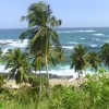 Пляж отеля Eva Lanka 3* + (Ева Ланка)