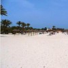   Minotel Djerba Resort 3*  ( )