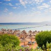  Albatros Palace Resort Sharm El Sheikh 5*  (     )