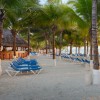   Occidental Costa Cancun 4*  (  )
