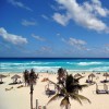 paradise  Grand Oasis Cancun 4*  (  )