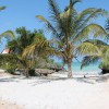   Azao Resort Zanzibar 4*  (  )
