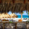 beach bar  Secrets Royal Beach Punta Cana 5*  (    )