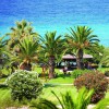   Kassandra Palace Hotel 5*  (  )