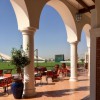   Al Habtoor Polo Resort & Club 4*  (     )