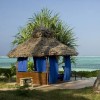   The Palms Zanzibar 5*  (  )