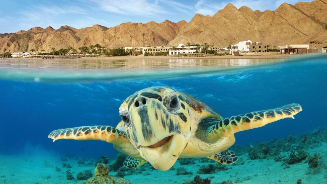 Gewan White Beach Resort New Alamein