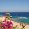 Пляж отеля The Oberoi Sahl Hashesh 5*  (Зе Оберой Сахл Хашиш)