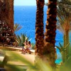 Территория отеля Reef Oasis Beach Resort 5*  (Риф Оазис Бич Резорт)