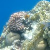 риф на пляже Эль Фанара Бич